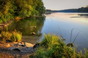 riverbank-7419740_1280