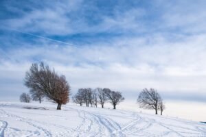 winter-5914165_960_720